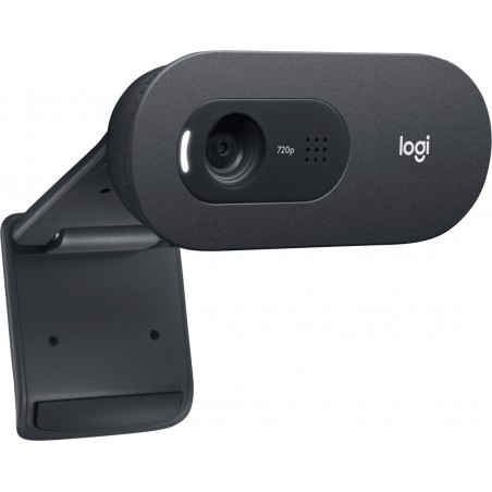 Webcam Logitech C505e (960-001372)