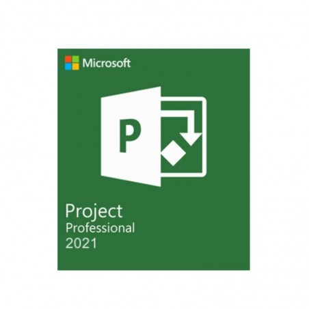 Project Professional 2021