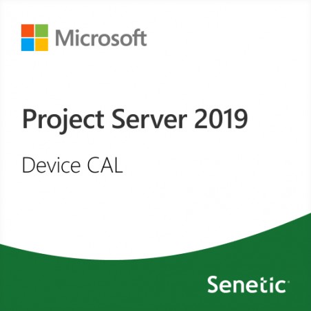 Project Server 2019 Device CAL (DG7GMGF0F4LF-0003)