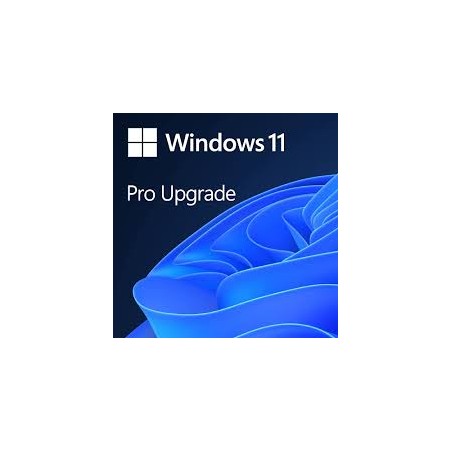 Windows 11 Pro Upgrade