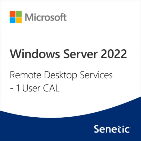 Windows Server 2022 Remote Desktop Services - 1 User CAL (DG7GMGF0D7HX-0009)