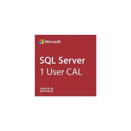 SQL Server 2022 - 1 User CAL (DG7GMGF0MF3T-0002)