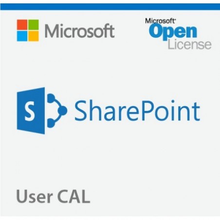 SharePoint Standard 2019 Device CAL (DG7GMGF0F4LS-0003)