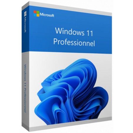 Microsoft Windows 11 Professionnel 64 bits Anglais (Licence originale + DVD) (FQC-10528)