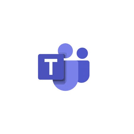 Microsoft Teams Essentials - abonnement annuel (1 an) (CFQ7TTC0JN4R-0002)