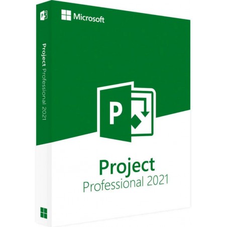 Project Professional 2021