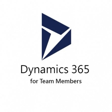 Dynamics 365 Team Members - abonnement annuel (1 an) (CFQ7TTC0LFNJ-0001)