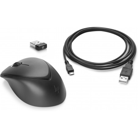 HP Souris sans fil Premium Souris sans fil Premium HP (1JR31AA)