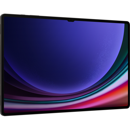Tablette Samsung Galaxy Tab S9 Ultra 5G ( 512Go)(SM-X916BZAEMWD)