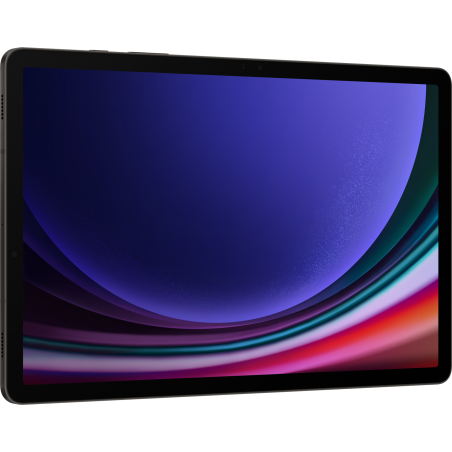 Tablette Samsung Galaxy Tab S9 Ultra 5G (16GB / 1To) (SM-X916BZAIMWD)