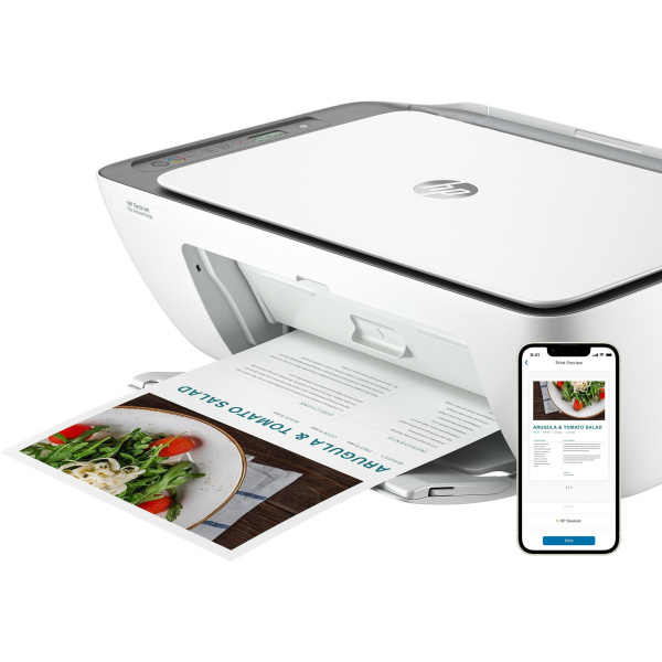 Imprimante multifonction HP DeskJet Ink Advantage 2876 (6W7E6C)