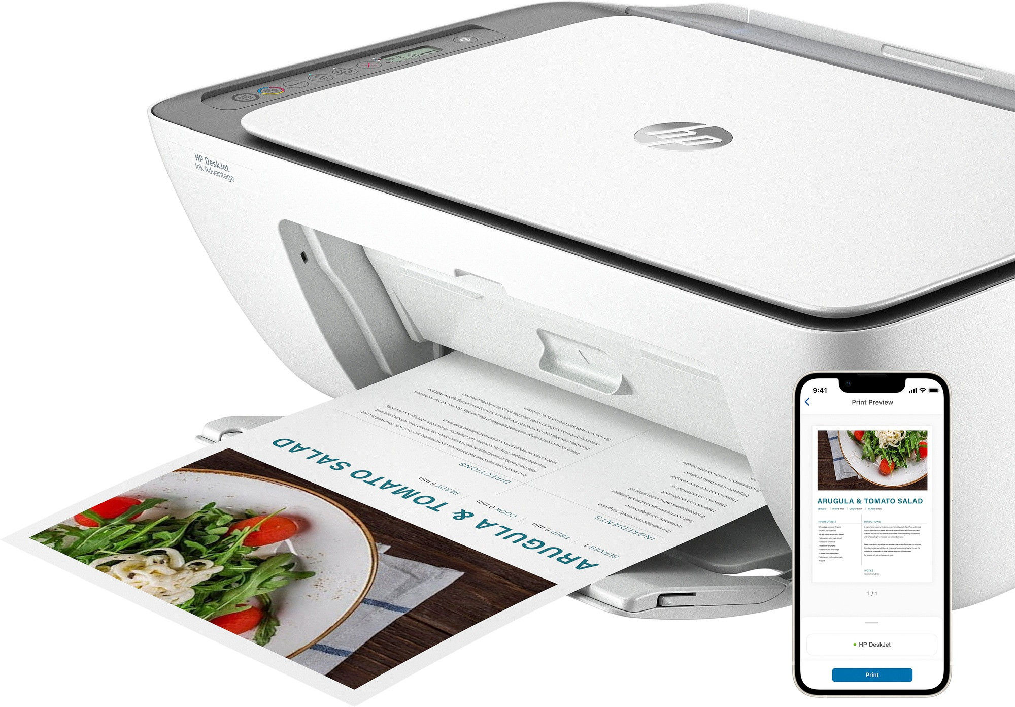 Imprimante multifonction HP DeskJet Ink Advantage 2876 (6W7E6C)