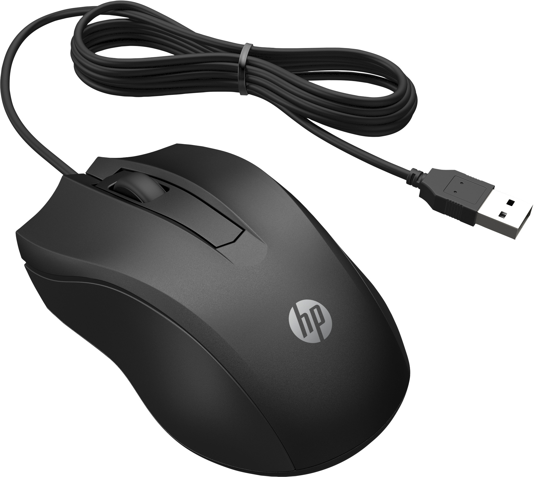 Souris filaire 100 HP (6VY96AA)
