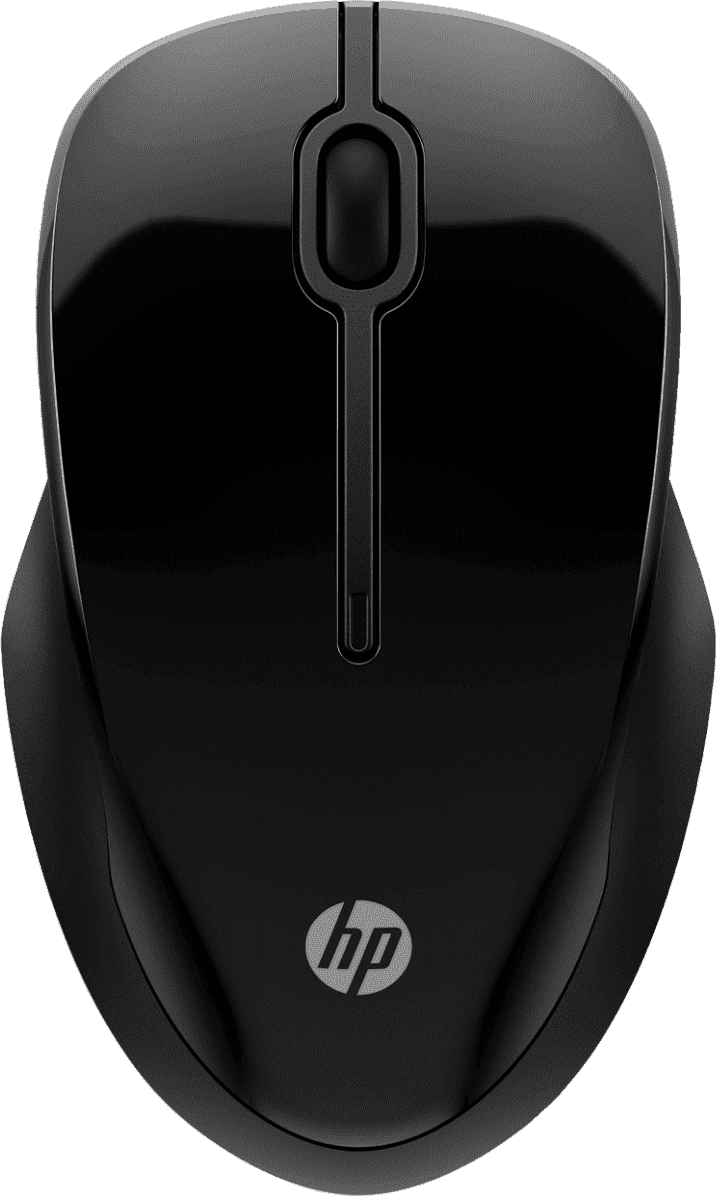 Souris sans fil Bluetooth HP 250 Double mode (6V2J7AA)