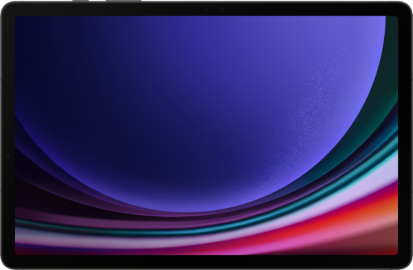 Tablette Samsung Galaxy Tab S9 Ultra 5G (512Go)