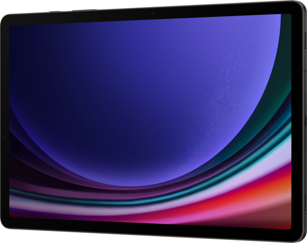 Tablette Samsung Galaxy Tab S9 Ultra 5G (512Go)