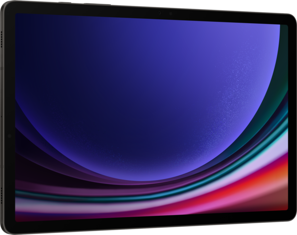 Tablette Samsung Galaxy Tab S9 Ultra 5G (512Go)