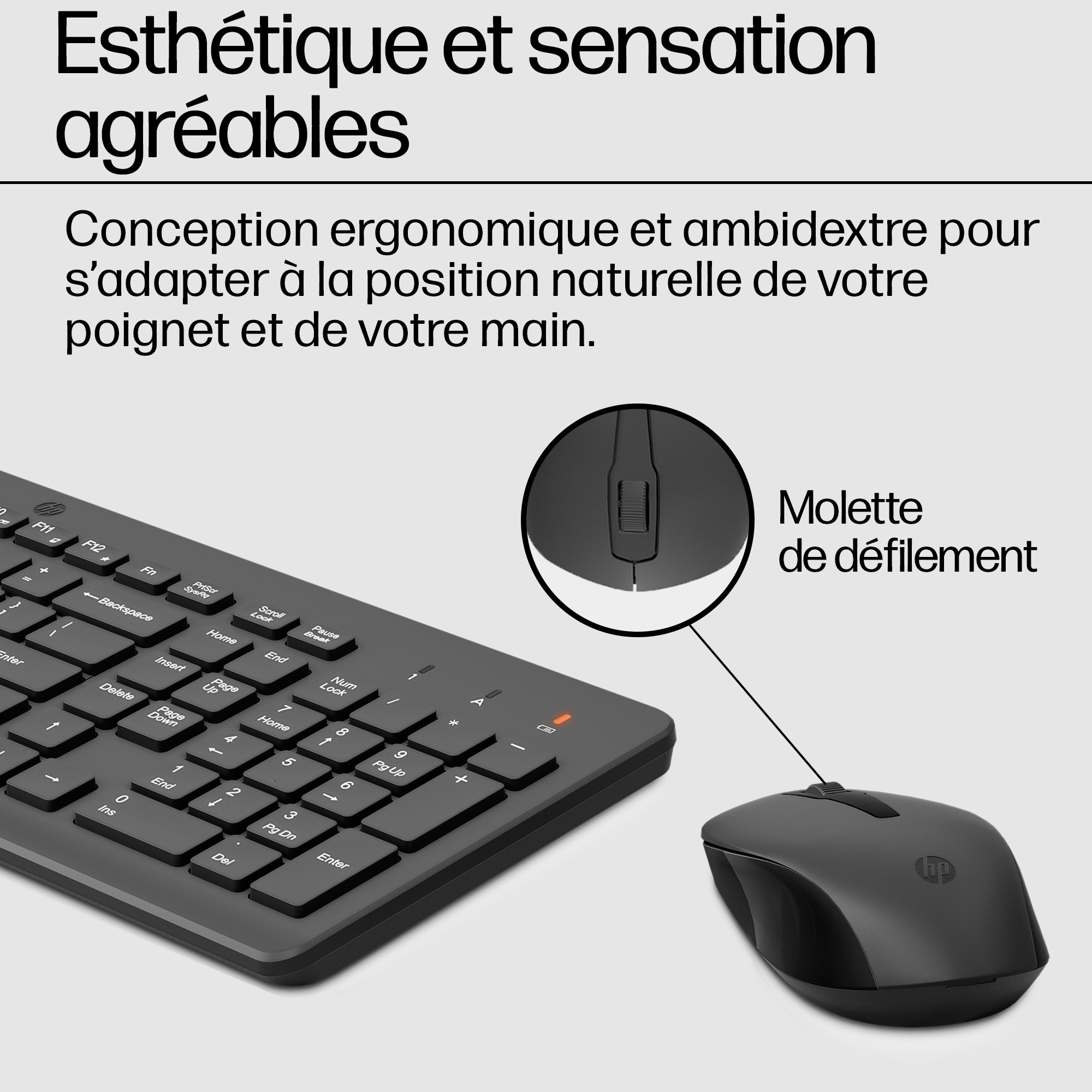 HP Ensemble combiné clavier et souris sans fil 330 Ensemble combiné clavier et souris sans fil HP 330 (2V9E6AA)