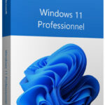 Microsoft Windows 11 Professionnel 64 bits Anglais (Licence originale + DVD) (FQC-10528)