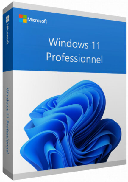 Microsoft Windows 11 Professionnel 64 bits Anglais (Licence originale + DVD) (FQC-10528)