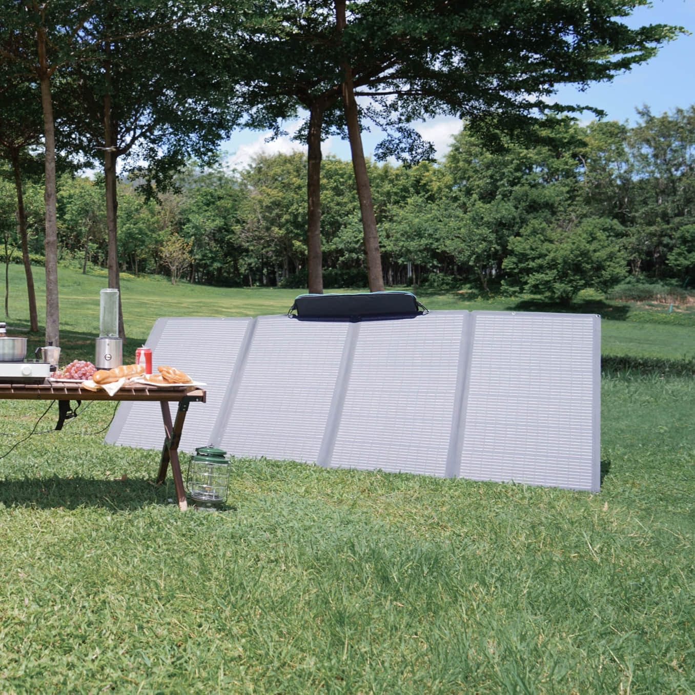 Panneau Solaire EcoFlow 400W 48V Max | 11A Max (EF-FLEX) (5006701010)