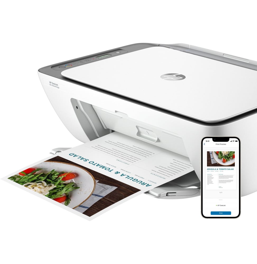 IMPRIMANTE MULTIFONCTION HP DESKJET INK ADVANTAGE 2876 (6W7E6C)