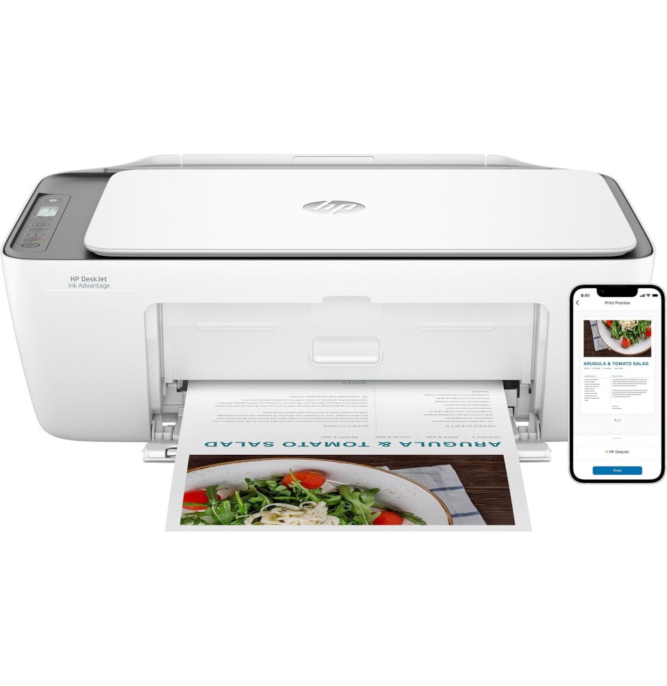 IMPRIMANTE MULTIFONCTION HP DESKJET INK ADVANTAGE 2876 (6W7E6C)