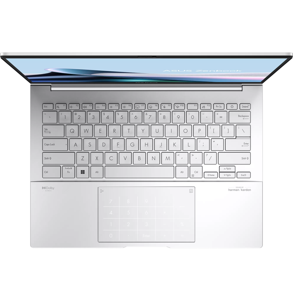 ORDINATEUR PORTABLE ASUS ZENBOOK 14 (UX3405CA-SU900W)