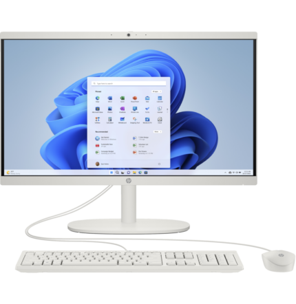 ORDINATEUR TOUT-EN-UN HP 22-DG0004NK (A2AR8EA)