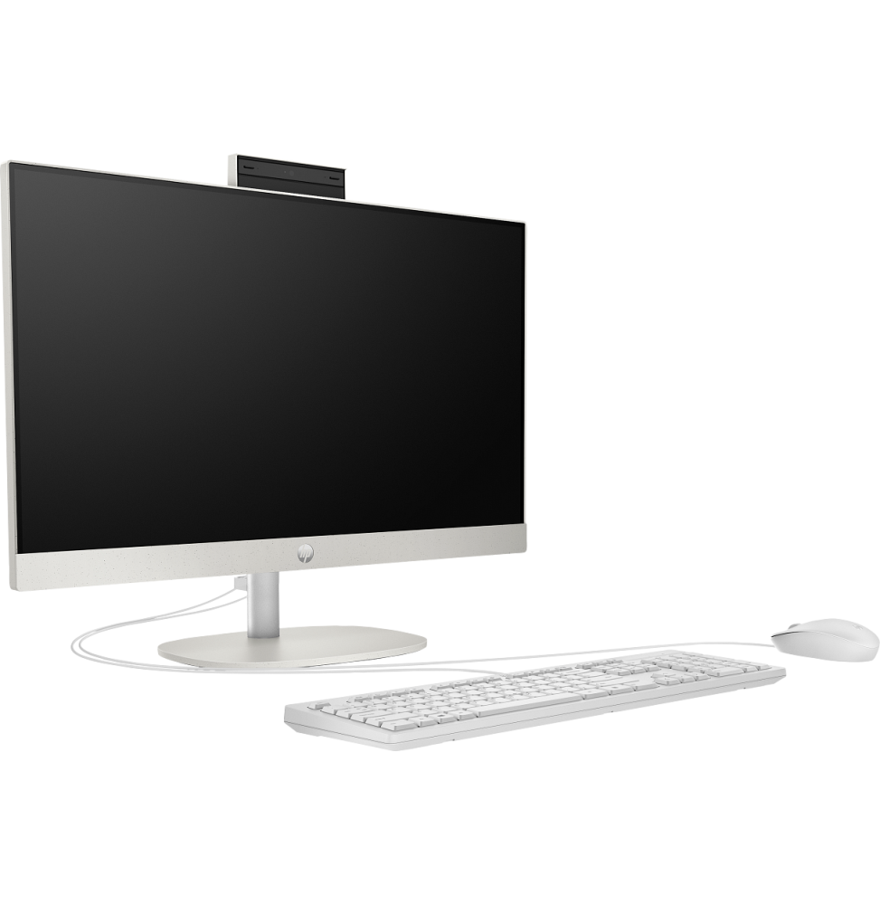 ORDINATEUR TOUT-EN-UN HP PROONE 240 G10 (623Z4ET)